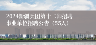 2024新疆兵团第十二师招聘事业单位招聘公告（55人）
