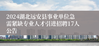 2024湖北远安县事业单位急需紧缺专业人才引进招聘17人公告