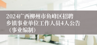 2024广西柳州市鱼峰区招聘乡镇事业单位工作人员4人公告（事业编制）