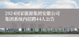 2024国家能源集团安徽公司集团系统内招聘44人公告