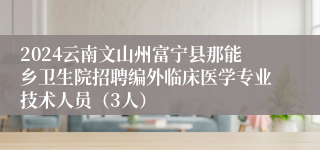 2024云南文山州富宁县那能乡卫生院招聘编外临床医学专业技术人员（3人）