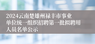 2024云南楚雄州禄丰市事业单位统一组织招聘第一批拟聘用人员名单公示