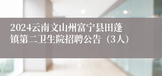 2024云南文山州富宁县田蓬镇第二卫生院招聘公告（3人）