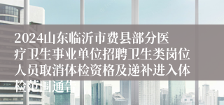 2024山东临沂市费县部分医疗卫生事业单位招聘卫生类岗位人员取消体检资格及递补进入体检范围通告