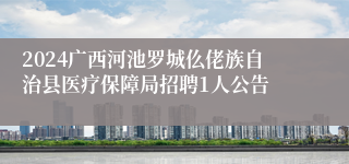 2024广西河池罗城仫佬族自治县医疗保障局招聘1人公告