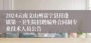 2024云南文山州富宁县田蓬镇第一卫生院招聘编外合同制专业技术人员公告