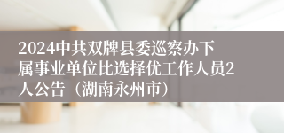 2024中共双牌县委巡察办下属事业单位比选择优工作人员2人公告（湖南永州市）