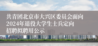 共青团北京市大兴区委员会面向2024年退役大学生士兵定向招聘拟聘用公示