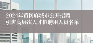 2024年黄冈麻城市公开招聘引进高层次人才拟聘用人员名单