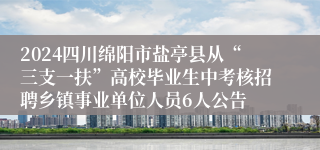 2024四川绵阳市盐亭县从“三支一扶”高校毕业生中考核招聘乡镇事业单位人员6人公告