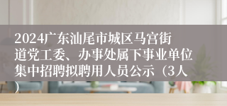 2024广东汕尾市城区马宫街道党工委、办事处属下事业单位集中招聘拟聘用人员公示（3人）