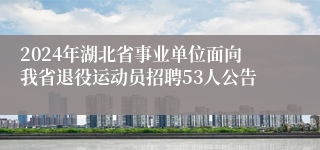 2024年湖北省事业单位面向我省退役运动员招聘53人公告