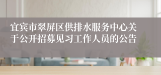 宜宾市翠屏区供排水服务中心关于公开招募见习工作人员的公告