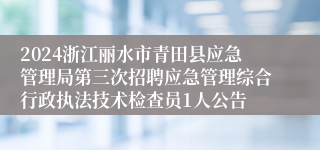 2024浙江丽水市青田县应急管理局第三次招聘应急管理综合行政执法技术检查员1人公告