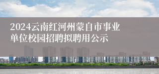 2024云南红河州蒙自市事业单位校园招聘拟聘用公示