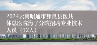 2024云南昭通市彝良县医共体总医院海子分院招聘专业技术人员（12人）