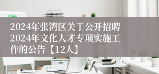 2024年张湾区关于公开招聘2024年文化人才专项实施工作的公告【12人】