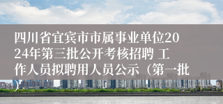 四川省宜宾市市属事业单位2024年第三批公开考核招聘 工作人员拟聘用人员公示（第一批）