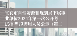 宜宾市自然资源和规划局下属事业单位2024年第一次公开考试招聘 拟聘用人员公示（第二批）