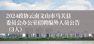 2024政协云南文山市马关县委员会办公室招聘编外人员公告（3人）