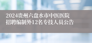 2024贵州六盘水市中医医院招聘编制外12名专技人员公告