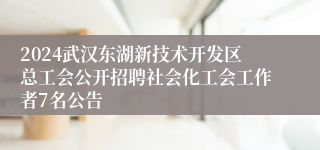 2024武汉东湖新技术开发区总工会公开招聘社会化工会工作者7名公告