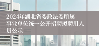 2024年湖北省委政法委所属事业单位统一公开招聘拟聘用人员公示