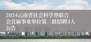 2024云南省社会科学界联合会直属事业单位第二批招聘3人公告