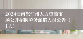 2024云南怒江州人力资源市场公开招聘劳务派遣人员公告（1人）