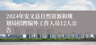 2024年安义县自然资源和规划局招聘编外工作人员12人公告