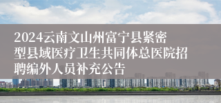 2024云南文山州富宁县紧密型县域医疗卫生共同体总医院招聘编外人员补充公告