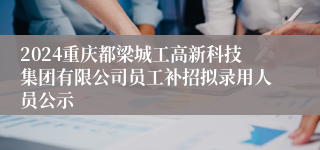 2024重庆都梁城工高新科技集团有限公司员工补招拟录用人员公示