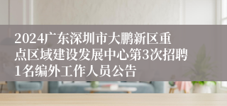2024广东深圳市大鹏新区重点区域建设发展中心第3次招聘1名编外工作人员公告