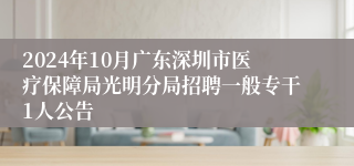 2024年10月广东深圳市医疗保障局光明分局招聘一般专干1人公告