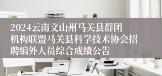 2024云南文山州马关县群团机构联盟马关县科学技术协会招聘编外人员综合成绩公告