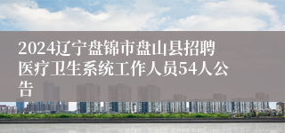 2024辽宁盘锦市盘山县招聘医疗卫生系统工作人员54人公告