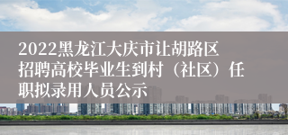 2022黑龙江大庆市让胡路区招聘高校毕业生到村（社区）任职拟录用人员公示