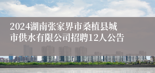 2024湖南张家界市桑植县城市供水有限公司招聘12人公告