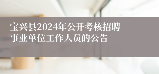 宝兴县2024年公开考核招聘事业单位工作人员的公告