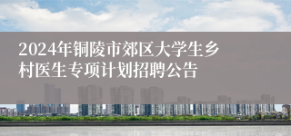 2024年铜陵市郊区大学生乡村医生专项计划招聘公告