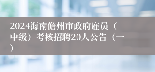 2024海南儋州市政府雇员（中级）考核招聘20人公告（一）