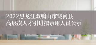 2022黑龙江双鸭山市饶河县高层次人才引进拟录用人员公示