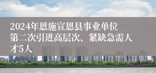 2024年恩施宣恩县事业单位第二次引进高层次、紧缺急需人才5人