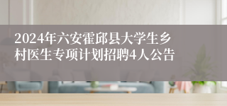 2024年六安霍邱县大学生乡村医生专项计划招聘4人公告