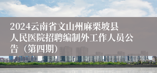 2024云南省文山州麻栗坡县人民医院招聘编制外工作人员公告（第四期）