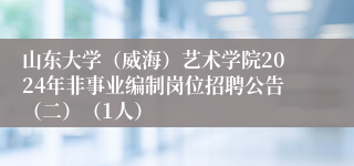 山东大学（威海）艺术学院2024年非事业编制岗位招聘公告（二）（1人）