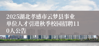2025湖北孝感市云梦县事业单位人才引进秋季校园招聘110人公告