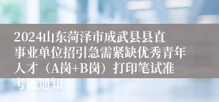 2024山东菏泽市成武县县直事业单位招引急需紧缺优秀青年人才（A岗+B岗）打印笔试准考证通知