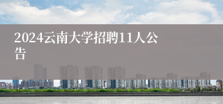 2024云南大学招聘11人公告