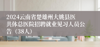 2024云南省楚雄州大姚县医共体总医院招聘就业见习人员公告（38人）